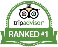 Trip Advisor Rated #1
